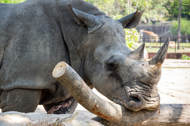 Similar image 22623374