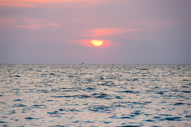 Similar image 22623375