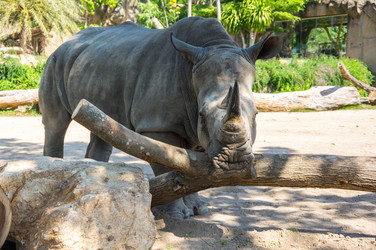 Similar image 22623384