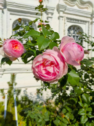 Similar image 22626117