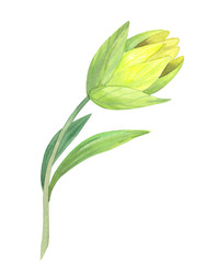 Similar image 22633391