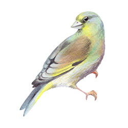 Similar image 22633395