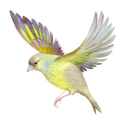 Similar image 22633396