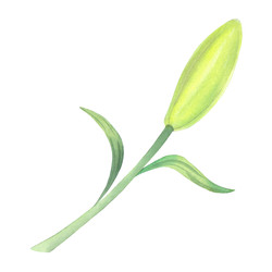 Similar image 22633405