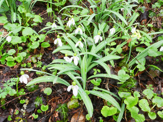 Similar image 22621147