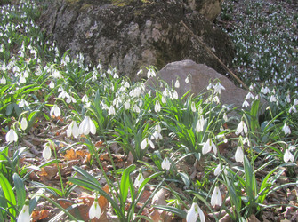 Similar image 22621153