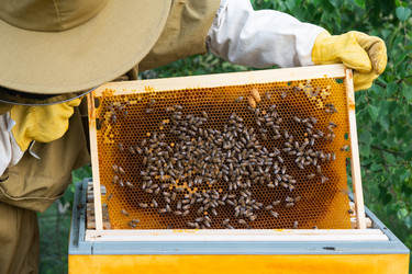 Similar image 22630183