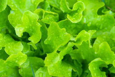 Similar image 22630185