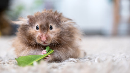 Similar image 22630186