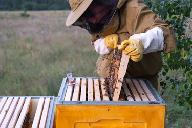 Similar image 22630188