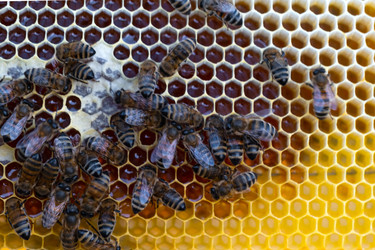 Similar image 22630198