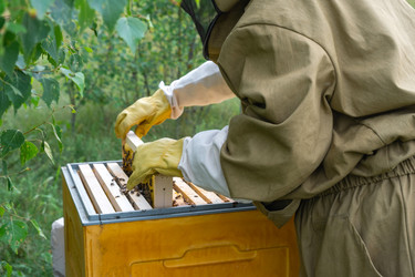 Similar image 22630201