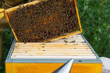 Similar image 22630202