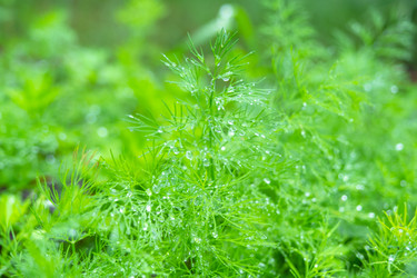 Similar image 22630203