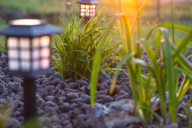 Similar image 22630205