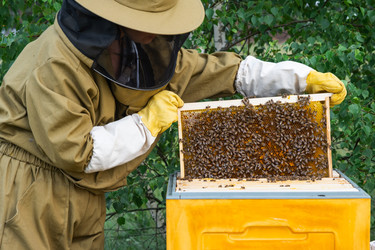 Similar image 22630206