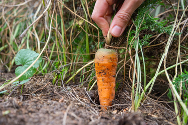 Similar image 22630213