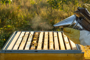 Similar image 22630216