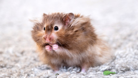 Similar image 22630217