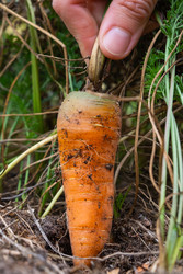 Similar image 22630020