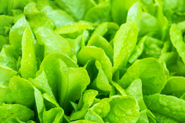 Similar image 22630021