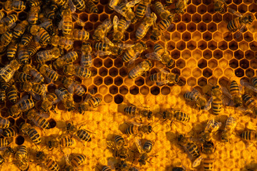 Similar image 22630022