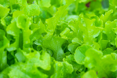 Similar image 22630023