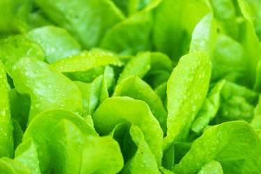 Similar image 22630025