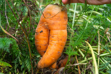 Similar image 22630026