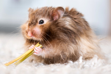 Similar image 22630034