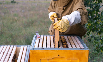 Similar image 22630036