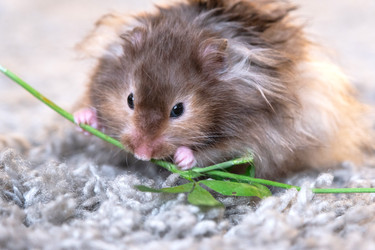 Similar image 22630037