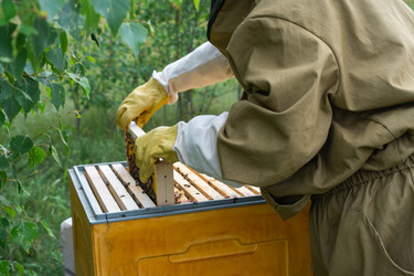 Similar image 22630038