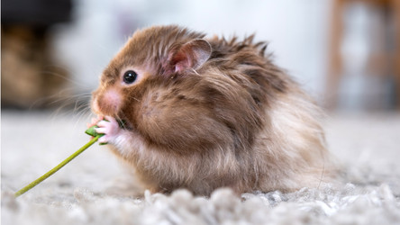 Similar image 22630041