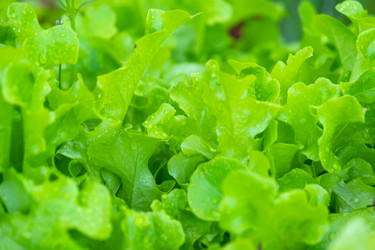 Similar image 22630047