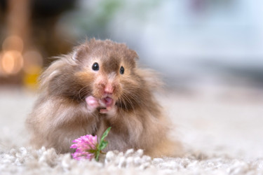 Similar image 22630048