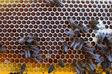 Similar image 22630049