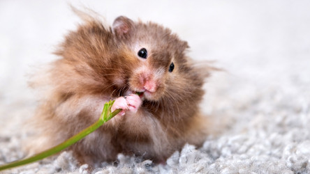 Similar image 22630050