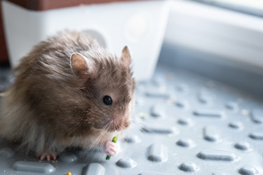 Similar image 22630052