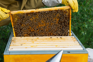 Similar image 22630053