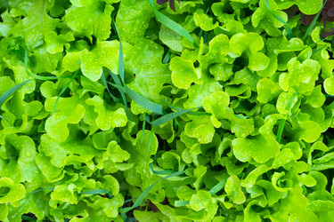 Similar image 22630054