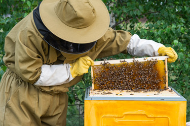 Similar image 22630055