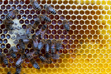 Similar image 22630056