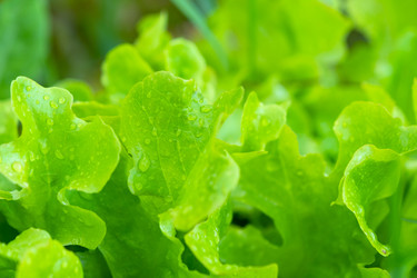 Similar image 22630057