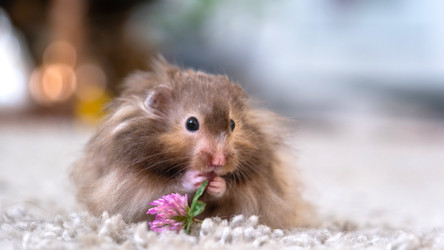 Similar image 22630058