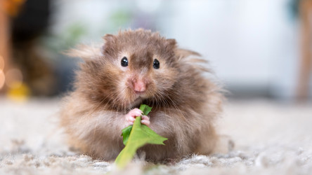 Similar image 22630059