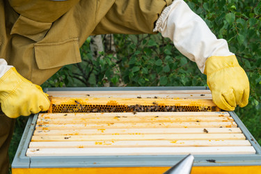 Similar image 22630062