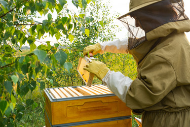 Similar image 22630064