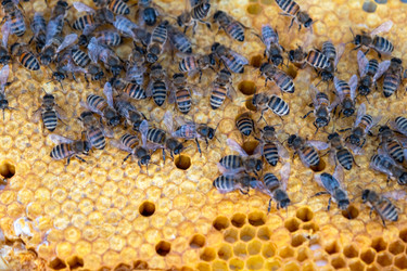 Similar image 22630066