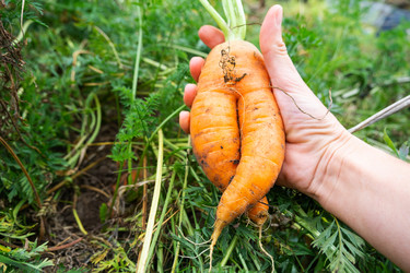 Similar image 22630067